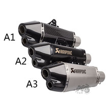 Motorcycle modified exhaust pipe muffler double Port Carbon fiber double nozzle exhaust Z900 CBR650 GSXR750