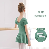 Файл с короткими рукавами из фасоли (стандартная модель)