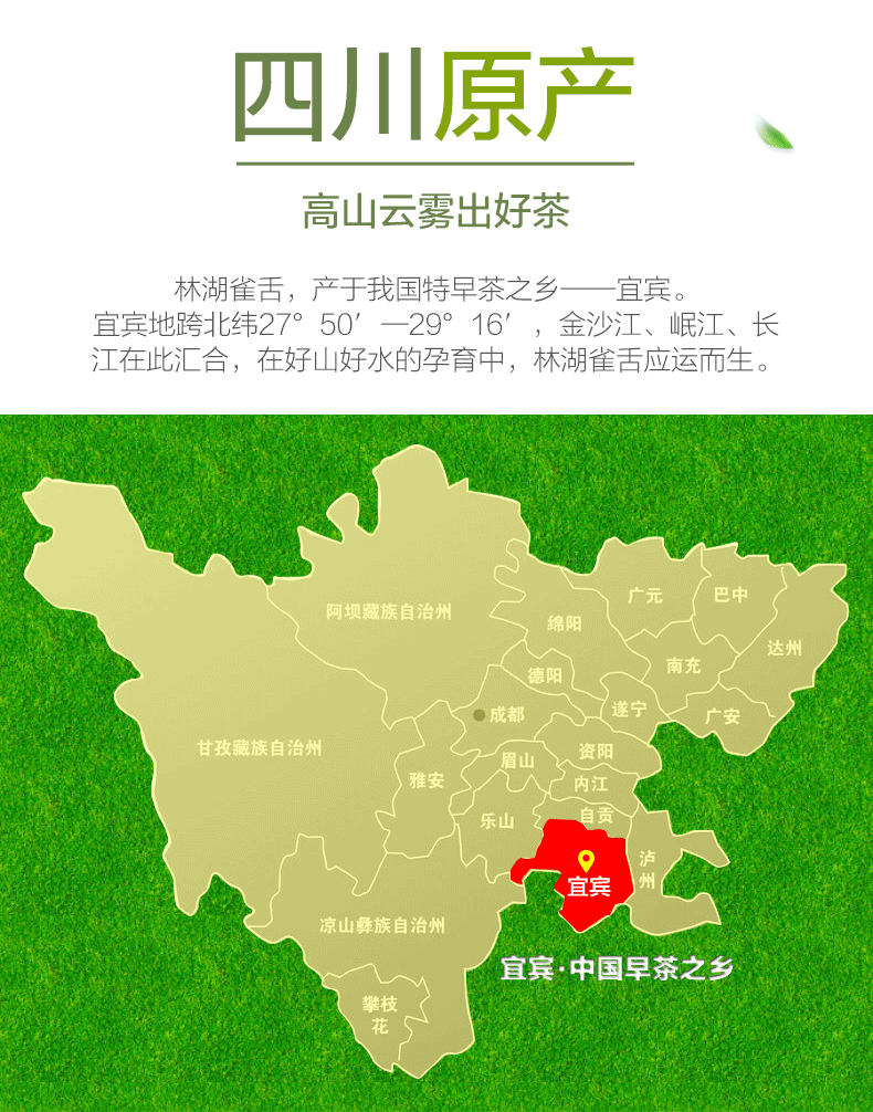 林湖茶叶 2020明前春茶 特级高山雀舌 100g*2盒 图2