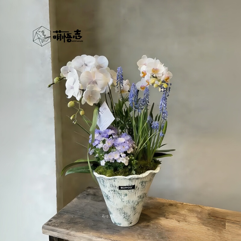 Jingdezhen Ceramic Butterfly Orchid Pot, Light Luxury High-End Irregular-Shaped Coarse Pottery Large Pot for Phalaenopsis, Cymbidium, and Oncidium