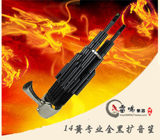 Шэн Музыкальный инструмент Шэн 14 Весна