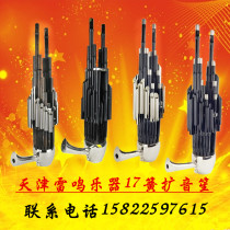 Lei Ming Sheng musical instrument 17 Reed sound Sheng beginner type performance Sheng high-grade professional seventeen spring professional amplifier Sheng Sheng