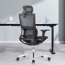 Computer Chair Home Comfortable Sedentary Boss Chair Gaming Learning Stool Ergonomic Chair Backrest Office Swivel Chair