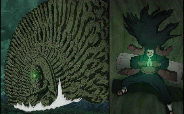 身爲下忍2種木遁 忍界之神柱間都學不會 淘寶海外 身爲下忍2種木遁 忍界之神柱間都學不會 淘寶海外
