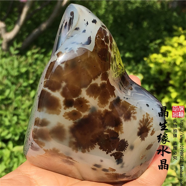 天然马达加斯加海洋玉髓水草玛瑙原石把玩石收藏奇石实物图 Изображение 1