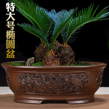 Flowerpot purple clay flowerpot ceramic flowerpot rectangular oval bonsai flowerpot banyan tree welcoming pine extra large flowerpot
