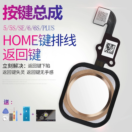 Применимый iPhone7 Apple 6 отпечаток пальцев 6S Lines Home Key 8 кнопка 5S Общая 7p Middle Plus распознавание SE2