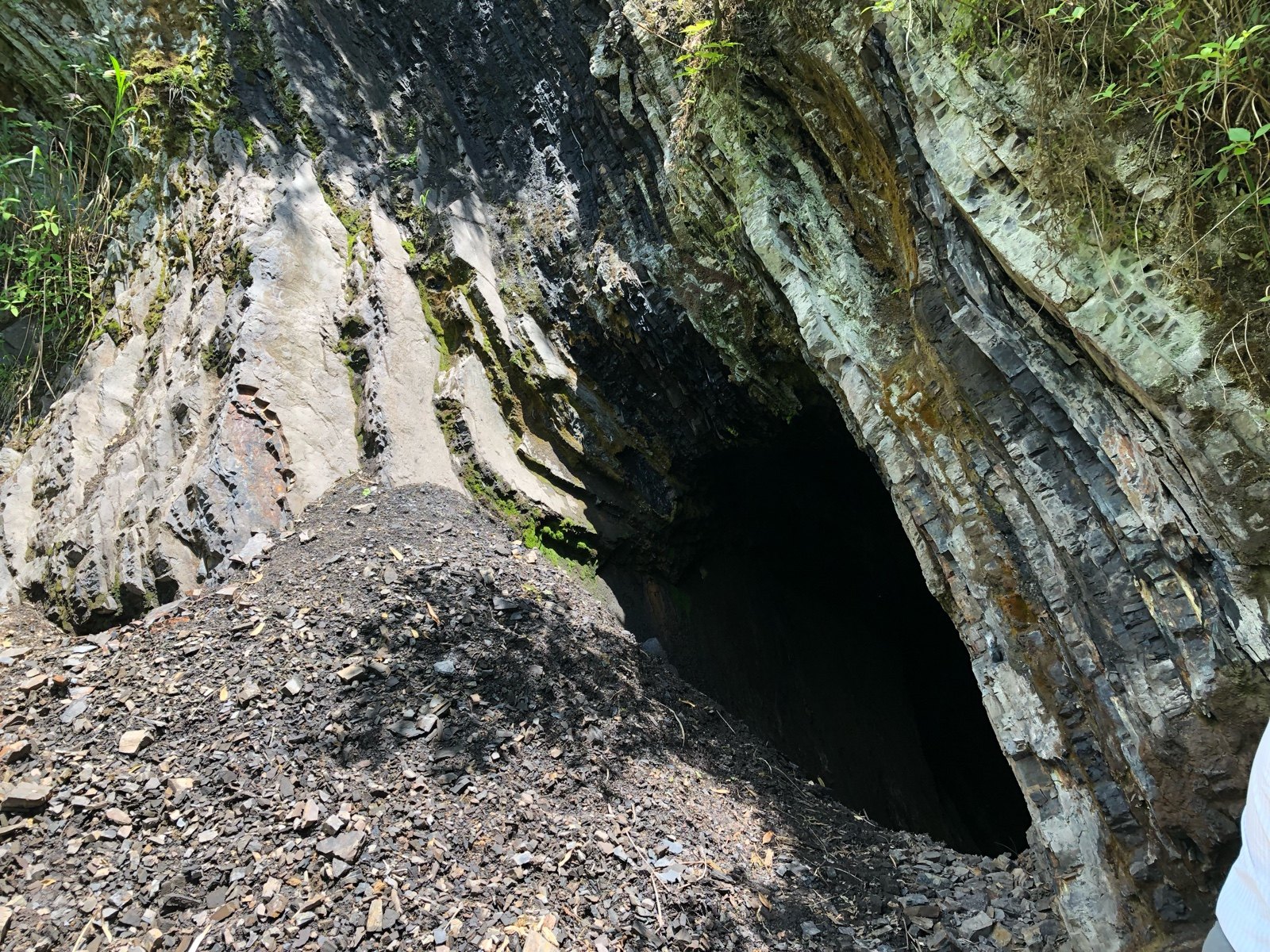 Nsch Selenium Ore Organic Selenium Supplements Selenium Trace Elements Natural Rich Selenium Stones per 1kg Selenium Content 219000 micrograms-Taobao