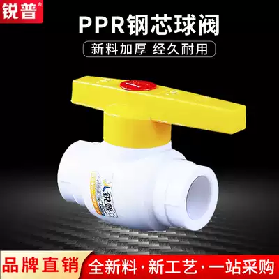 Rui Pu PPR steel ball valve 20 25 32 40 50 63 75 90PPR valve PPR pipe fittings