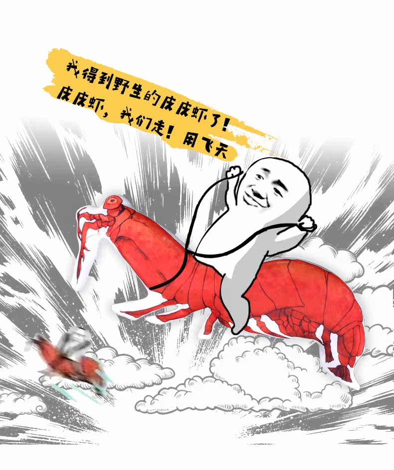 Peluche manga en peluche crevettes Pipi - Ref 2697730 Image 14