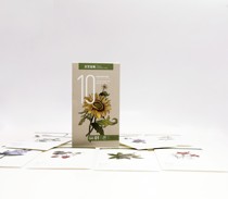 Federal walking horse literary letterhead