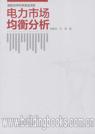 正版 电力市场均衡分析