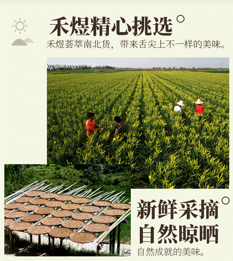 黑龍江農(nóng)家特產(chǎn)黃花菜干貨