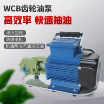 WCB-30 50 75 gear oil pump stainless steel thick oil-proof firewood petrol self-suction gear pump 220V380V