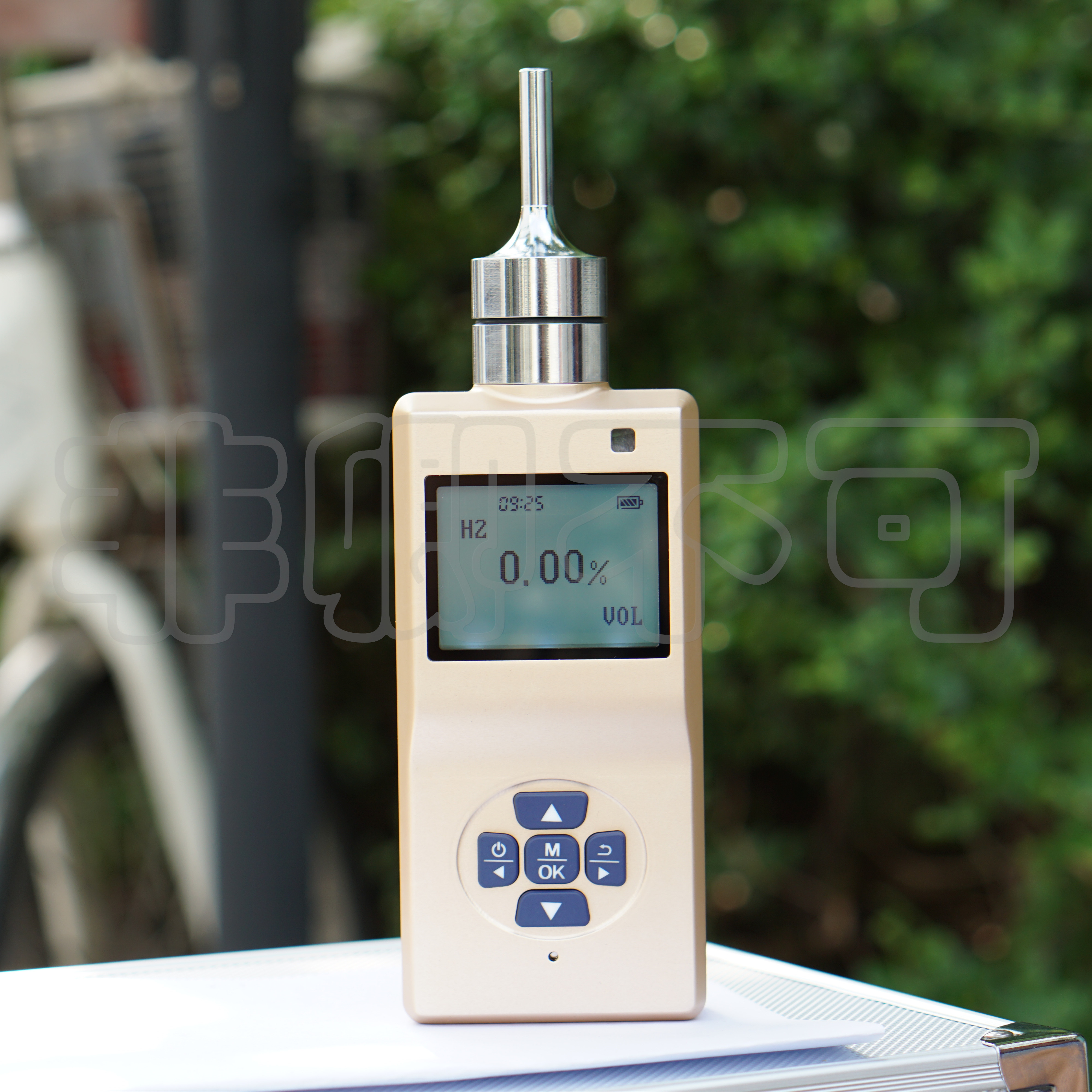 Portable pump - suction bromomethane gas alarm CH3Br sterilization gas concentration detector fumigation agent