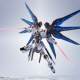 Model Play Bear Bandai METAL ROBOT Soul MR Soul Strike Freedom Gundam SEED new color matching spot
