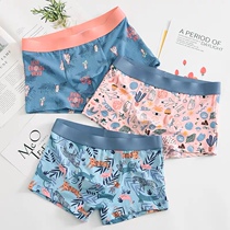 3-pack ins style cartoon printed panties Mens boxer modal cotton fashion mid-waist boxer briefs cotton shorts