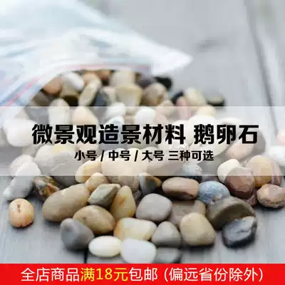 Moss micro landscape ecological bottle DIY decorative material natural rain flower stone polished goose soft stone landscaping ornaments