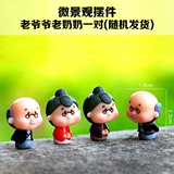 Дедушка и бабушка творческий мультипликационный персонаж кукла Сочный растительный растительный мох микроалкологический экологический экологический бутылок DIY Небольшое украшение