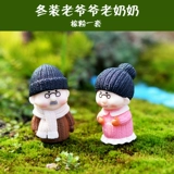 Дедушка и бабушка творческий мультипликационный персонаж кукла Сочный растительный растительный мох микроалкологический экологический экологический бутылок DIY Небольшое украшение