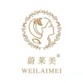 蔚莱美业