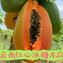 Аутентичный Юньнань красный сердечный папайя Xishuangbanna papaya фруктовое свежее дерево приготовленные молочные цельночки из льдов мягкое