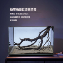 Native South American yellow oak branches small fish tank scenery branches yellow pear branches dead wood sunken wood fish tank landscaping wood upside down antlers