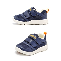 Lu20Q2465 Deep Blue