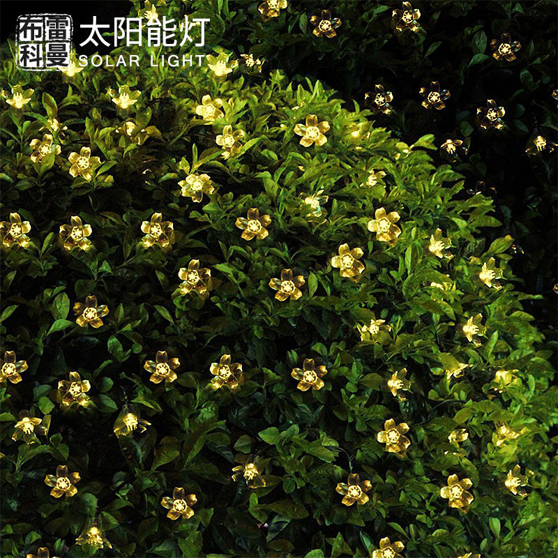 ���׿���ӣ����̫���ܲʵƴ�