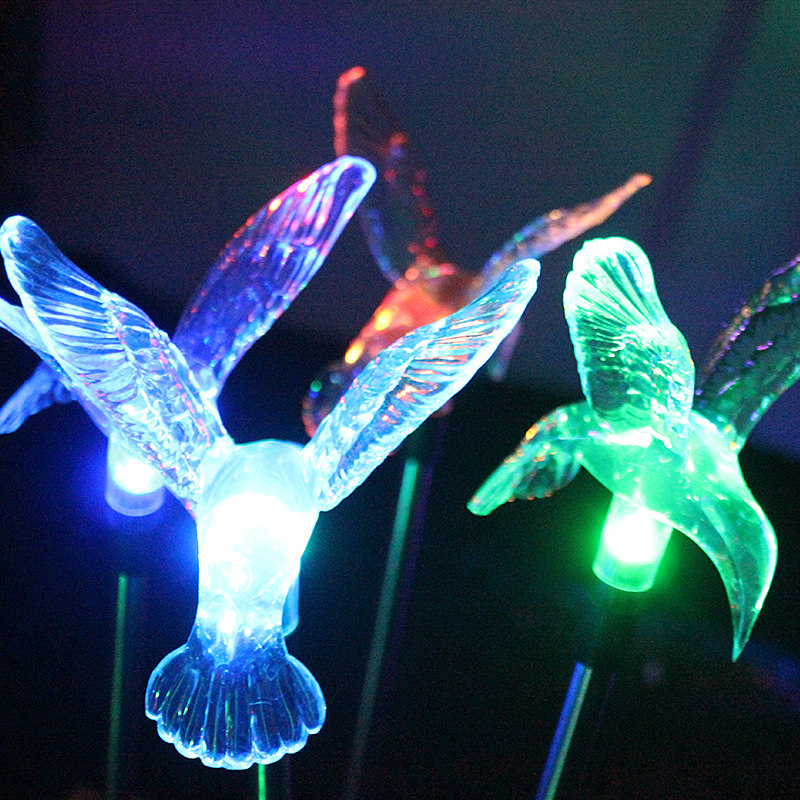 ���׿���̫���ܷ����߲ʱ�ɫ��ƺ�� C0001FN