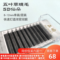 Five-leaf clover grafted eyelashes 5D flowering black thick non-scattering roots natural beauty eyelash store special novice quick mixed pack