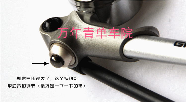 Pompe à vélo GIYO - Ref 2390674 Image 6