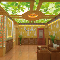 UV soft film ceiling fine printing film Waterproof high-definition photo inkjet light box film white ceiling decoration material