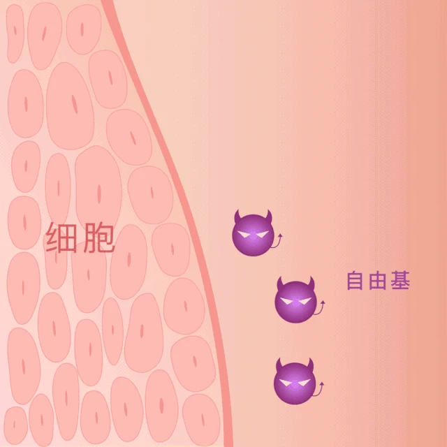 ed7a1e3e-dcb5-41fe-ace1-1f02fb690358.webp
