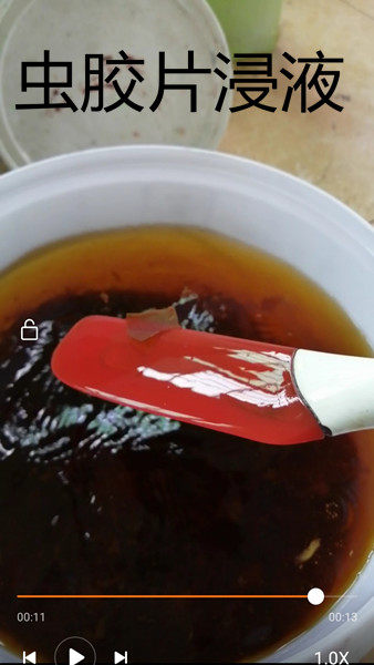 Moisture-proof and anti-corrosive closed primer worm rubber sheet flooding solid wood tinted root sculpted plate painting to make musical instrument sineworm glue lacquer