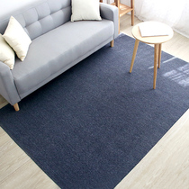 Entry floor mat Doormat Foyer Living room door entrance foot mat Kitchen bathroom non-slip mat Custom living room carpet