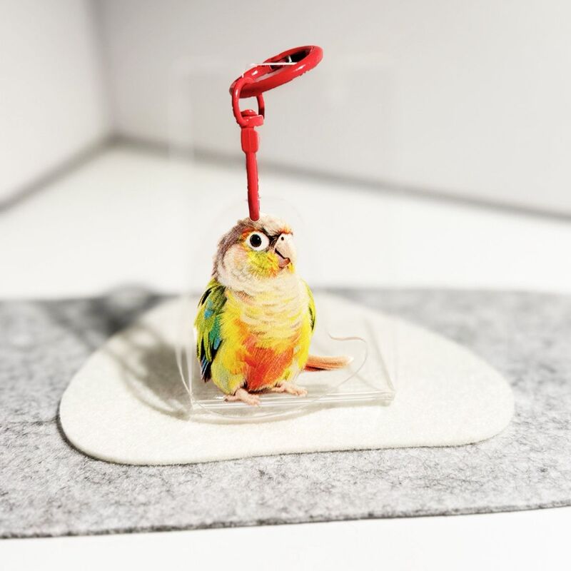 Bird Pendant Charm Cute Parrot Sun Acrylic Cockatiel Keychain Various Bird Charms Bag Decoration