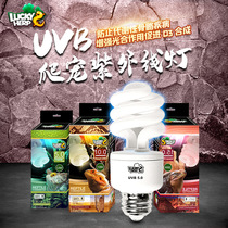 Crawler UVB calcium supplement lamp crawling pet tortoise feeding box mane lion lizard 5 0 10 0 rainforest dry land desert type