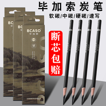Picasso charcoal pen sketch sketch soft carbon professional examination soft brush carbon pen soft painting charcoal pencil