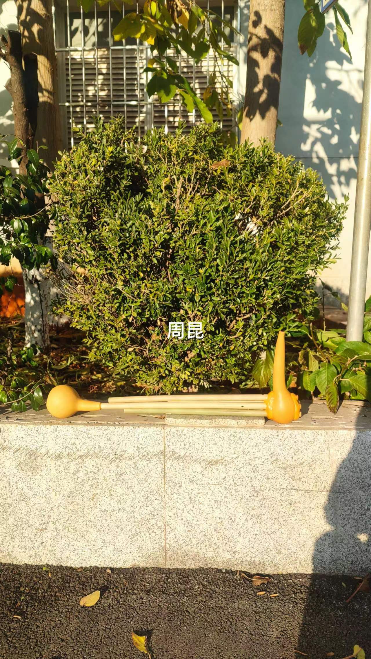 Rusheng Sheng Wei Shan Lao Tune Great Five-point Beat Song Using Rusheng Non-Relic Manufacturer Direct Marketing Can Develop Ticket-Taobao