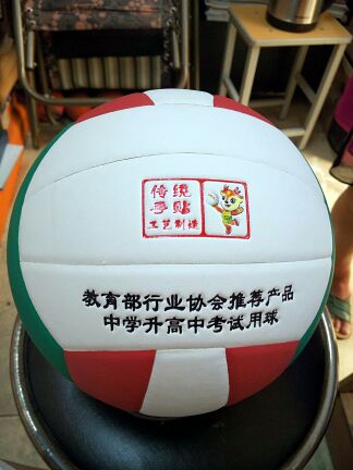Ballon de volley-ball - Ref 2016775 Image 3