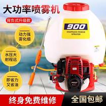 Petrol High-pressure Dosing Machine Four Stroke Copper Pump Disinfection New Spray Machine Back Negative Landscaped Strawberry Agricultural Nebulizer