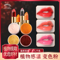 (1 gr loaded) DIY handmade lipstick red colour pink lipstick lipstick with red powder plant temperature sensitive discoloration powder raw material