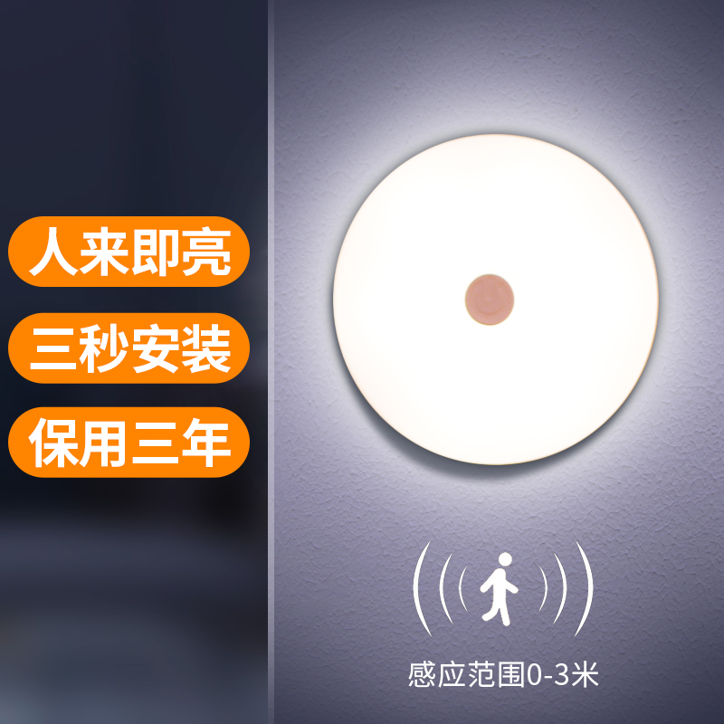 Stairs Entrance Door Human Body Induction Lights Home Bedside Aisle Smart Induction Automatic Little Nightlight Lower Bed Makeup Room