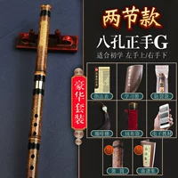 8 Kong Zhengshou G настроил [две секции] [Подходит для начинающих] роскошные аксессуары