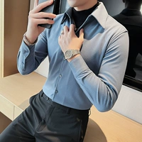 Синий большой пионер