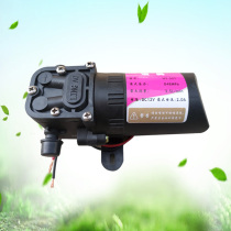 Agricultural electric sprayer special pump 12V pressure water pump micro high pressure water pump diaphragm pump