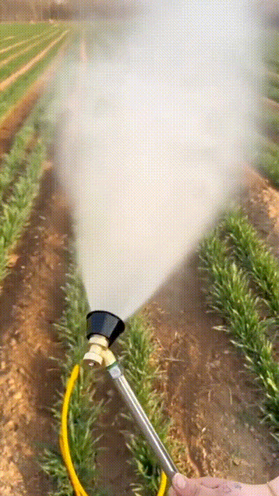 DM_20260528173214_011.gif