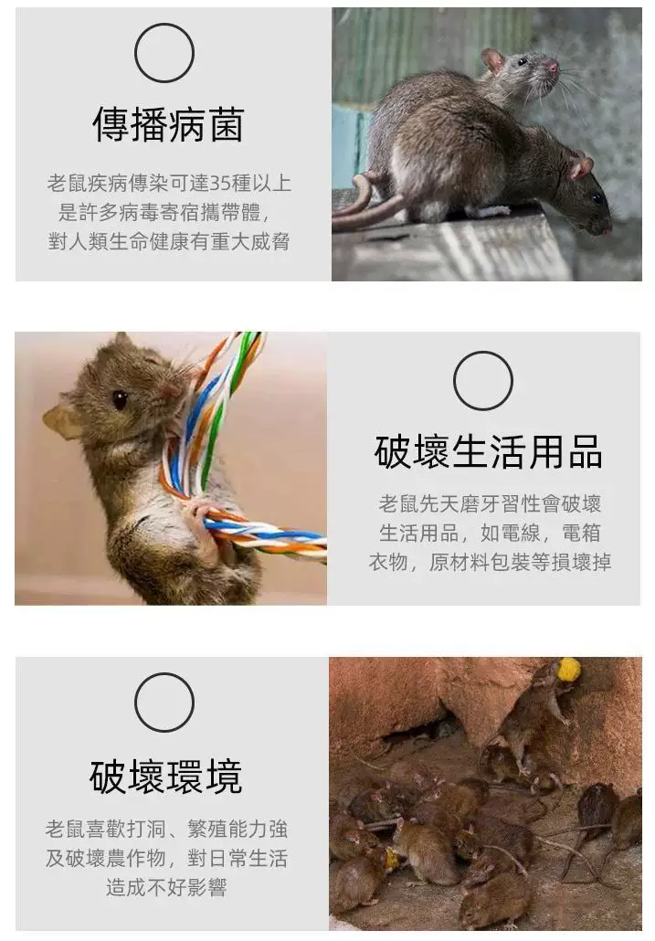 03.webp