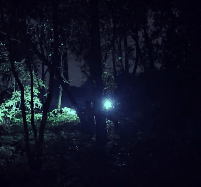 20260519_170754_049.gif